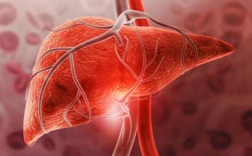 Gordura no fígado: veja qual é o limite da regeneração do órgão doente