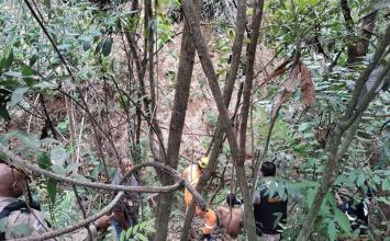 Vídeo: Homem é resgatado após permanecer quatro dias em grota de 50 metros em MG