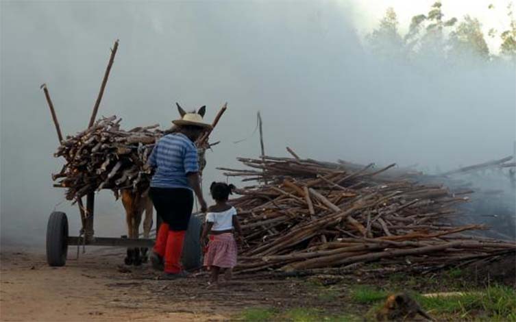 Brasil registra aumento de trabalho infantil entre crianças de 5 a 9 anos