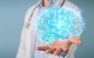 Envelhecimento do cérebro: conheça 10 mitos e verdades