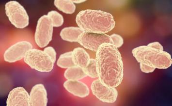 Minas Gerais lidera registros de coqueluche no país em 2025, com média de um caso a cada 16 horas