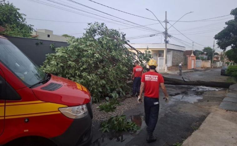 Chuvas fortes provocam queda de árvores e interdição de vias em Sete Lagoas e região