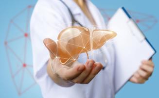 Endocrinologista aponta 8 hábitos para reverter gordura no fígado