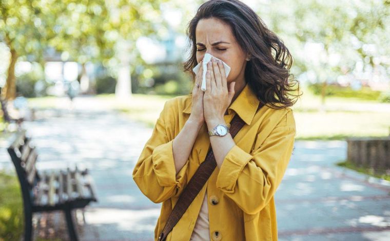 Foto: Shutterstock - Quem convive com rinite alÃ©rgica sabe. Ambientes fechados e ar carregado pioram os sintomas. AlÃ©m da limpeza e da ventilaÃ§Ã£o, algumas plantas podem ajudar a aliviar os sintomas da rinite, melhorando a qualidade do ar dentro de casa