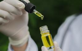 Uso medicinal: Anvisa autoriza cultivo de cannabis e venda em farmácias de manipulação