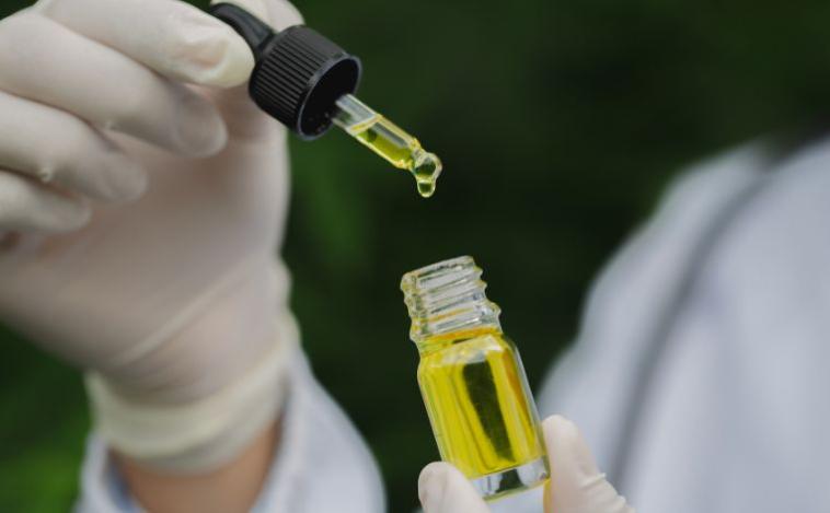 Uso medicinal: Anvisa autoriza cultivo de cannabis e venda em farmácias de manipulação