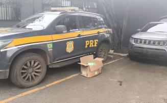 PRF resgata três adolescentes vítimas de tráfico de pessoas durante fiscalização na BR-040