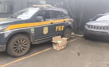 PRF resgata três adolescentes vítimas de tráfico de pessoas durante fiscalização na BR-040