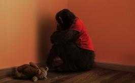 Destaque - O Primata