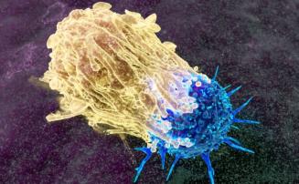 Minas Gerais deve registrar cerca de 93 mil novos casos de câncer por ano até 2028, aponta Inca