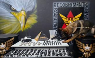 PM desarticula ponto de drogas no bairro Dona Sílvia, em Sete Lagoas; cinco pessoas são presas