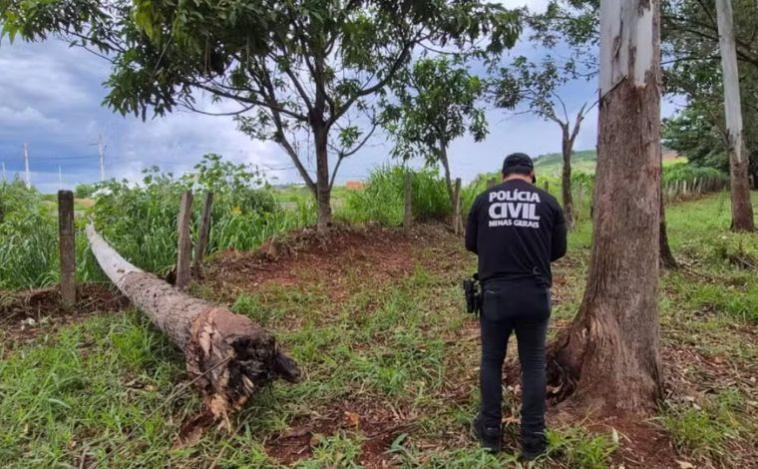 Bebê de 1 ano morre após queda de árvore sobre veículo na rodovia MG-444