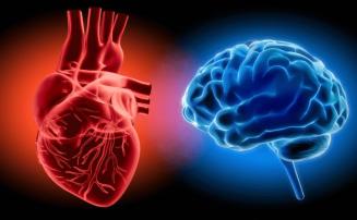 Mente e coração: como depressão e ansiedade aumentam o risco de doenças cardiovasculares