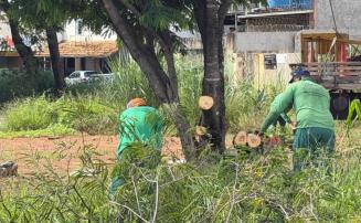 Sete Lagoas realiza poda preventiva e retirada de árvores para reforçar segurança em vias da cidade