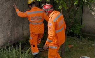 Vídeo: Corpo de Bombeiros captura cobra coral em residência no bairro Luxemburgo em Sete Lagoas