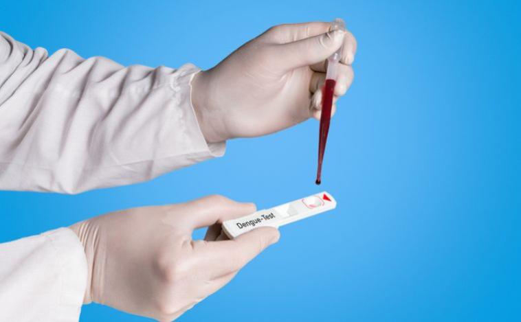 SUS passa a oferecer teste rápido de dengue para agilizar diagnóstico e início do tratamento