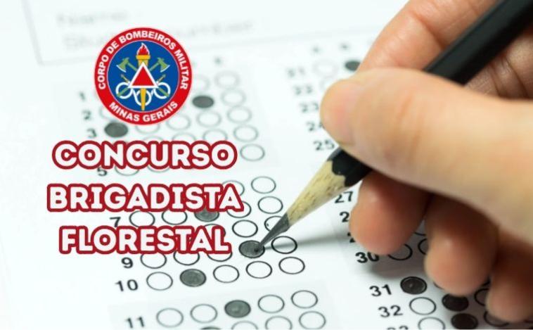 ÚLTIMO DIA: Bombeiros abrem seleção com 5 vagas de brigadistas para Sete Lagoas 
