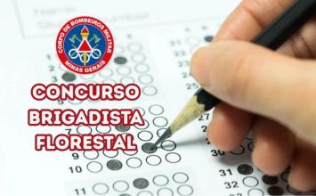 URGENTE: Bombeiros abrem seleção com 5 vagas de brigadistas para Sete Lagoas e inscrições terminam H