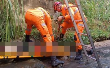 Jovem fica ferida ao tentar resgatar gato e cair em córrego no interior de Minas