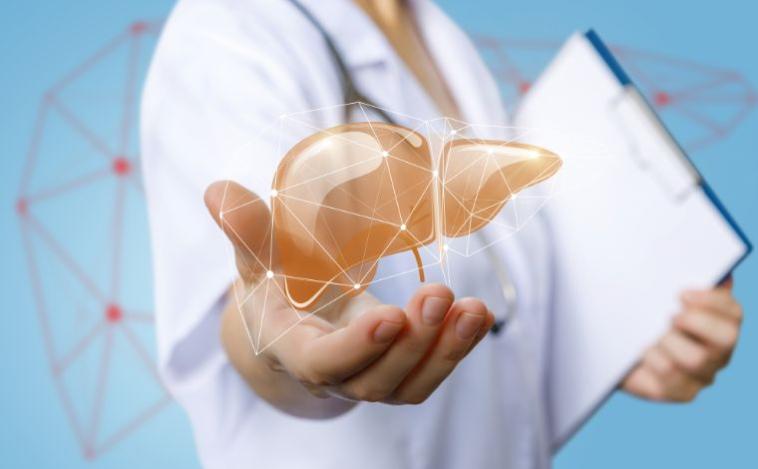 Além do álcool: entenda a condição silenciosa que pode destruir o fígado