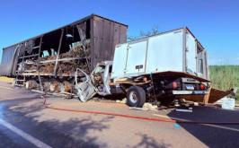 Pai e filho morrem após colisão entre caminhonete e caminhão na MG-428
