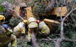 Retroescavadeira cai em ribanceira e mata trabalhador no interior de Minas