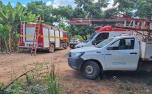 Homem morre eletrocutado ao tentar colher abacates no interior de Minas