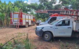 Homem morre eletrocutado ao tentar colher abacates no interior de Minas