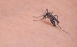 Minas Gerais confirma mais de 21 mil casos de dengue e investiga 34 mortes suspeitas em 2026
