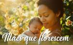 ‘Mães que Florescem’ promove atividades de bem-estar e contato com a natureza na Serra Santa Helena