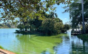 Sete Lagoas monitora fenômeno natural de floração na Lagoa Paulino e reforça ações ambientais