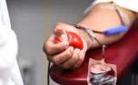 Canetas emagrecedoras e anabolizantes podem impedir doação de sangue, alerta Hemominas