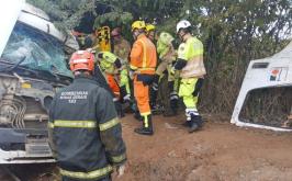 Vídeo: Carreta perde os freios, atinge árvore e deixa motorista gravemente ferido em Pedro Leopoldo