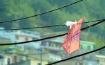 Jovem sofre descarga elétrica ao tentar retirar pipa presa em fios em Belo Horizonte