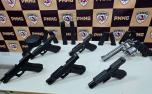 Seis armas são apreendidas enterradas em propriedade rural de Paraopeba