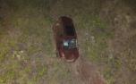 Vídeo: Mulher morre após carro cair em ribanceira na Serra da Rola-Moça, na Grande BH