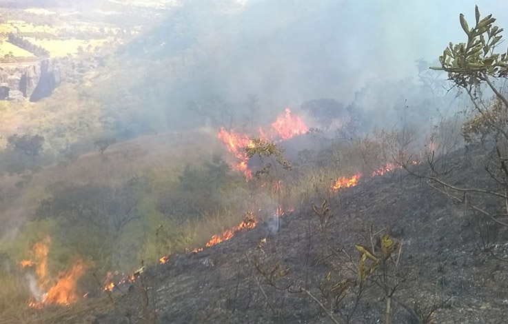 Brigadistas fazem rescaldo de incêndio no entorno da Gruta Rei do Mato