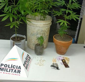 Polícia prende homem que plantava maconha em casa, em Ribeirão das Neves