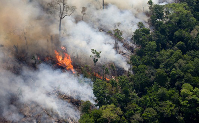 Bombeiros alertam para risco de queimadas com o tempo seco