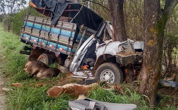 Vídeo mostra motorista com sinais de embriaguez sofrendo acidente na MG 238