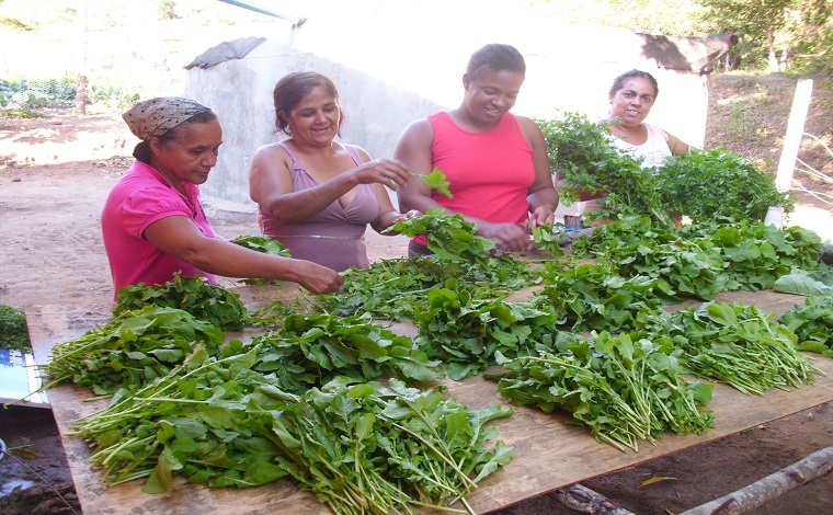 Governo de Minas seleciona produtores de alimentos para festival em Belém