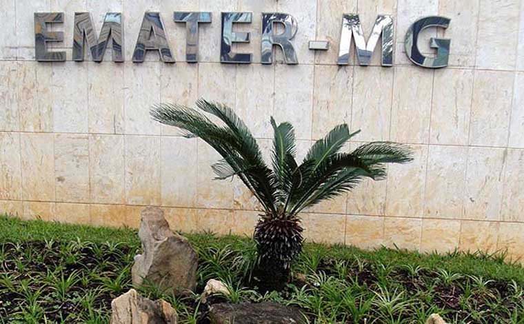 TCE aprova realização de concurso da Emater, suspenso há quase dois anos