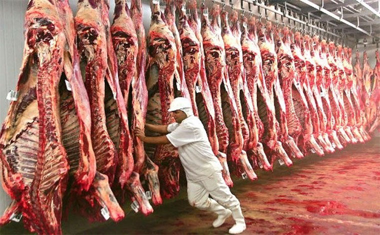 Briga entre EUA e China pode favorecer exportação de carne brasileira