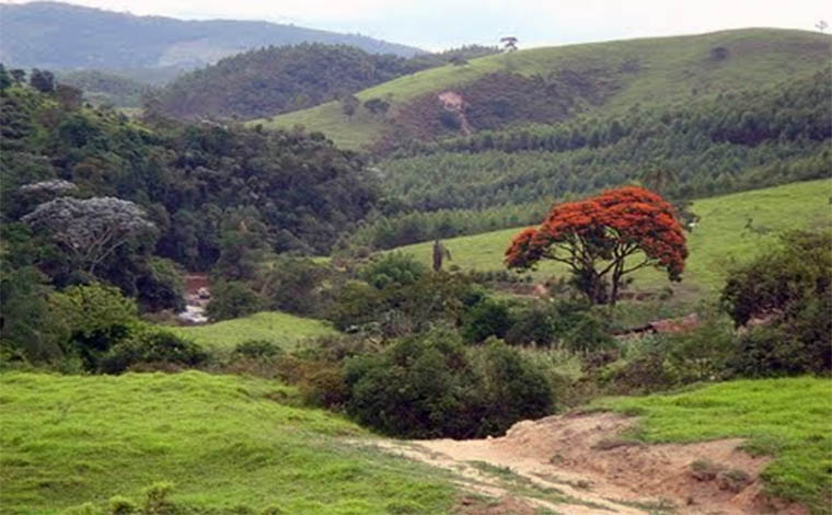 Bandidos roubam quase cinco mil em dinheiro e arma de fogo em fazenda