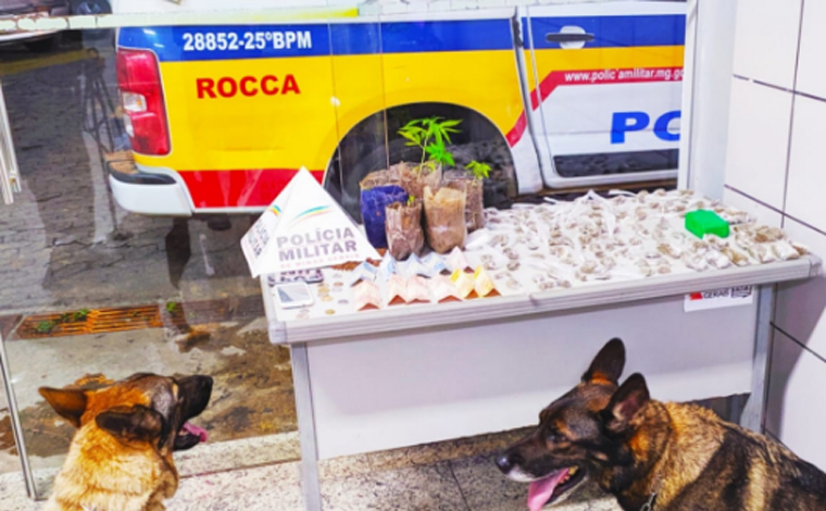 PM apreende tabletes e pés de maconha  no bairro CDI II e apreende espingardas em Cordisburgo