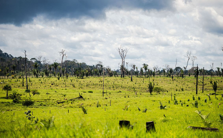 Bolsonaro autoriza uso das Forças Armadas no combate ao desmatamento