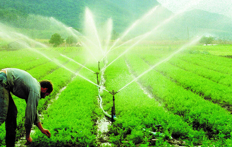 Epamig apresenta soluções para irrigação de baixo custo