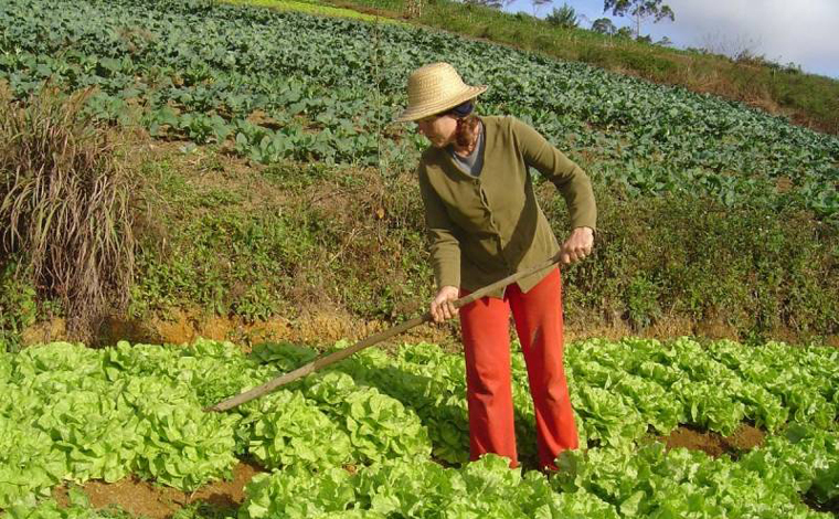 Auxílio Emergencial: Câmara aprova benefício de R$ 600 para pequenos agricultores