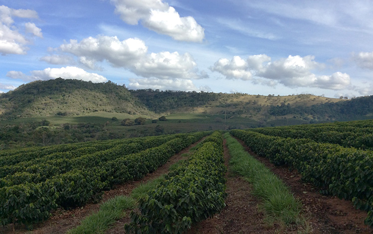 Crea-MG promove reunião com produtores agrícolas em Sete Lagoas