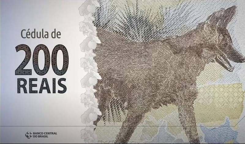 Banco Central lança cédula de R$ 200 com lobo-guará; nota entra em circulação nesta quarta-feira